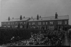 Rose_Terrace_1920[1]